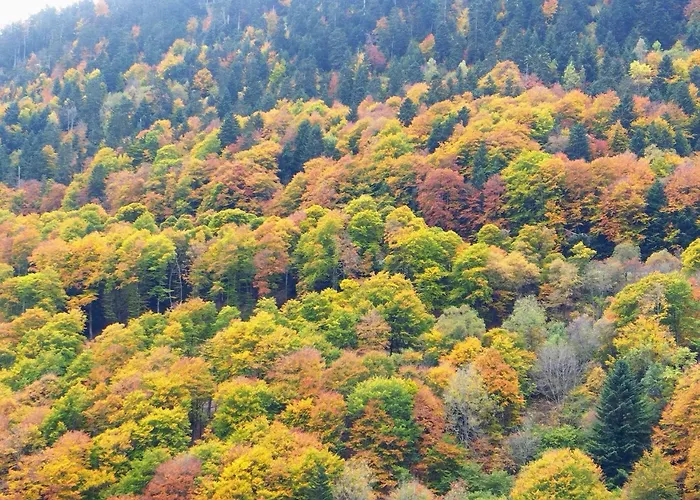 Les De Mel Appartement Saint-Lary-Soulan