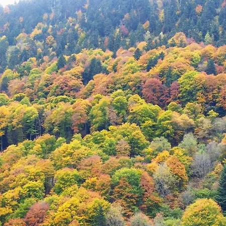 Les De Mel Lägenhet Saint-Lary-Soulan